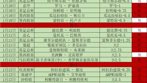 青岛海牛宣布：萨里奇与拉德曼诺瓦茨告别旧战靴，携手新篇章启程！